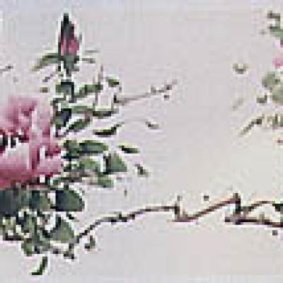  2002