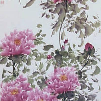 花卉牡丹